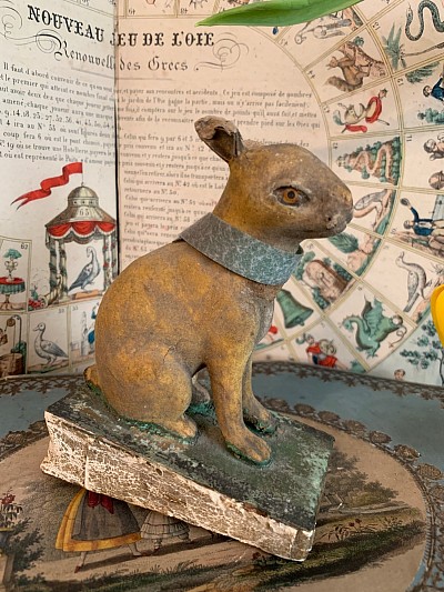 Rabbit