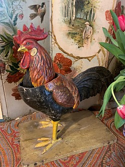Rooster