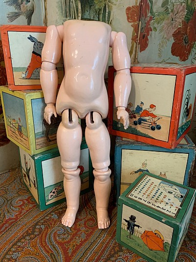Body