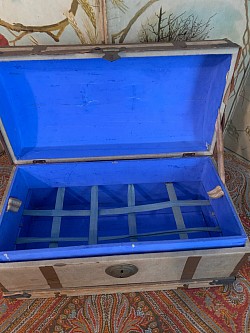 Trunk