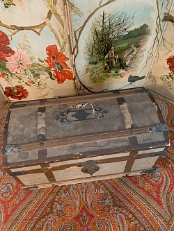 Trunk