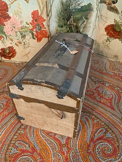 Trunk