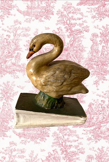 Swan