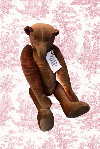 Teddy