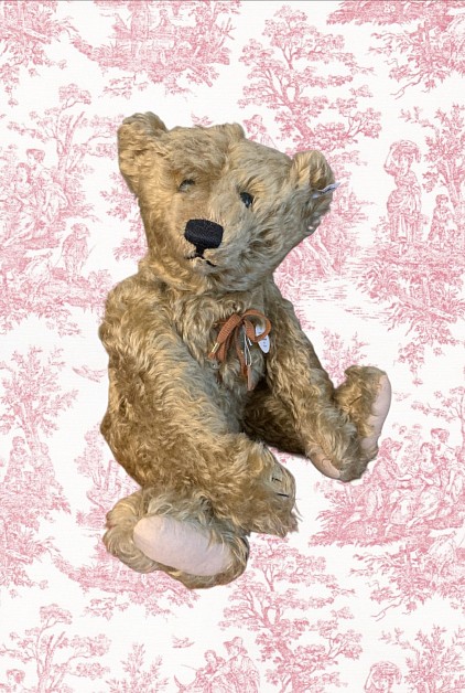 Steiff