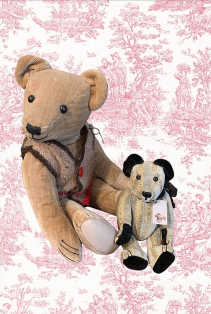 Teddy