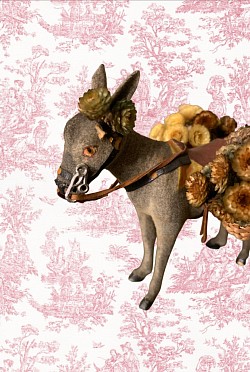 Donkey