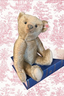 Teddy Bear
